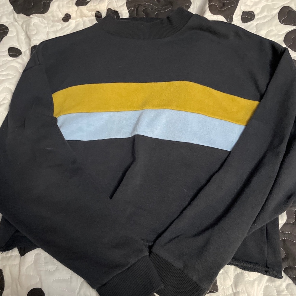 American Eagle Outfitters Cropped Sweatshirt